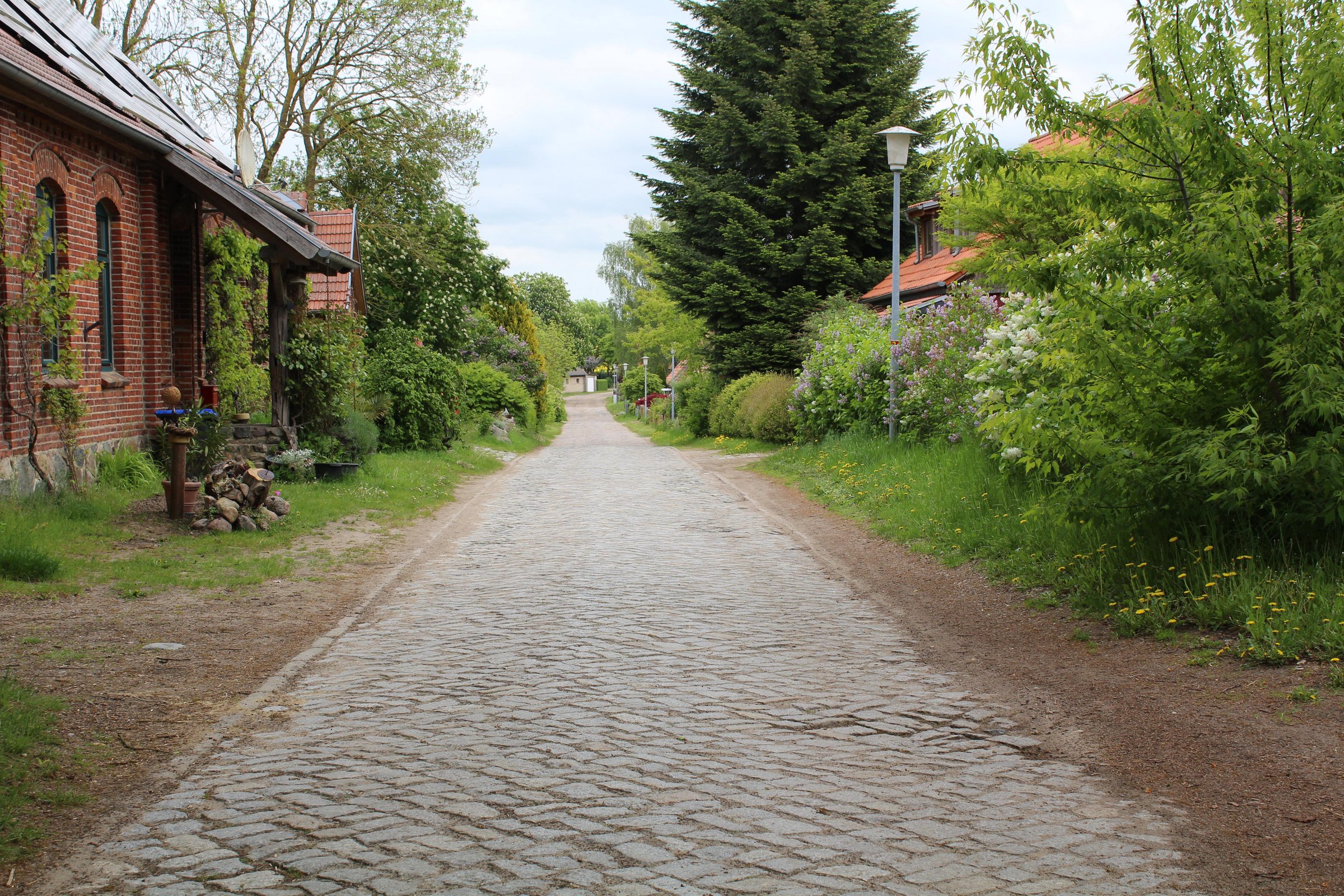Kopfsteinpflasterweg