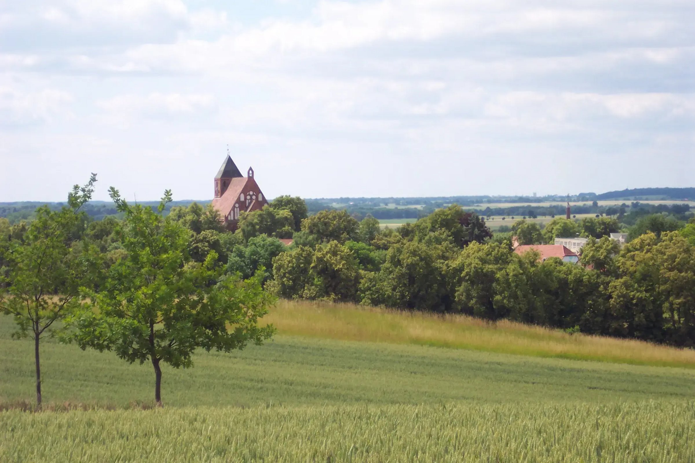 Kirche Penzlin mit Feldern