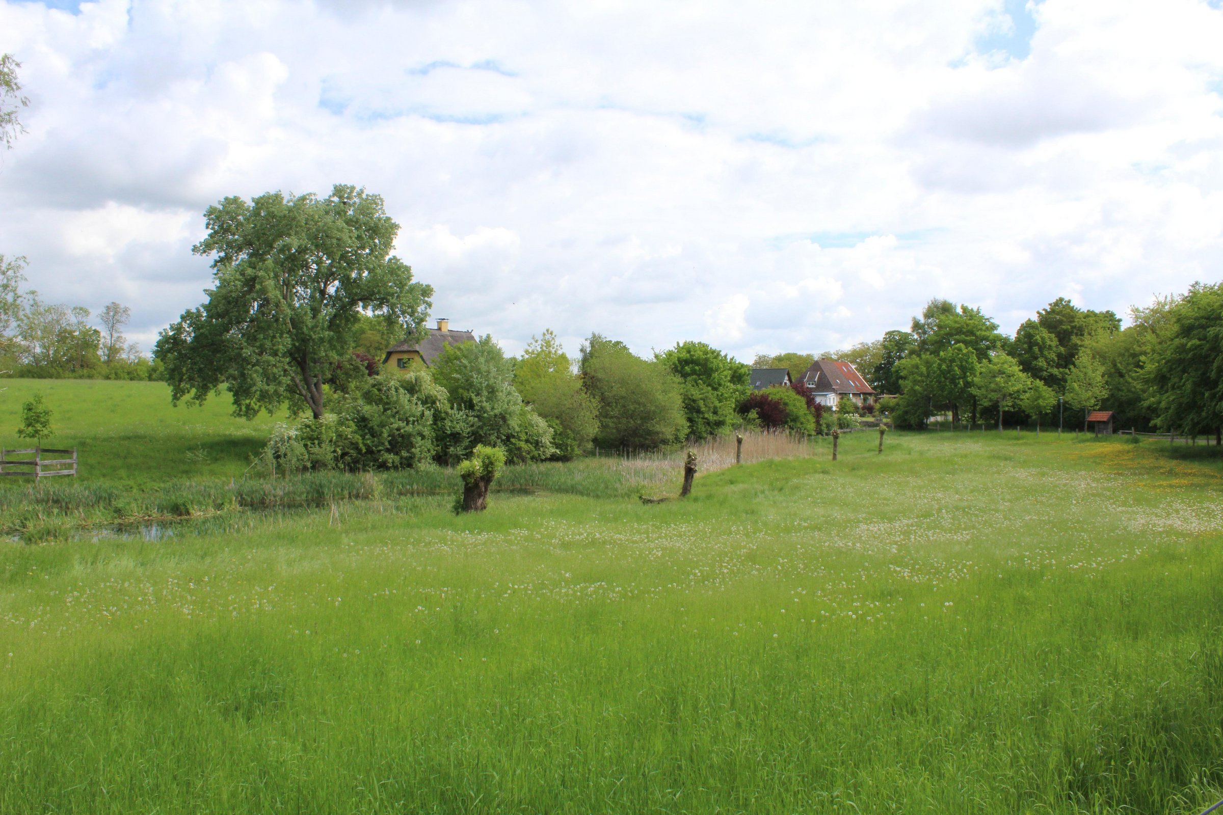 Blick auf Rahnenfelde